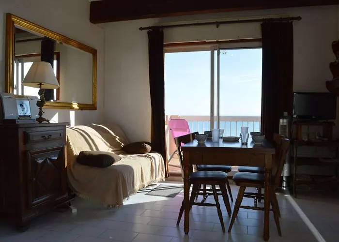 Avec Vue Sur La Sc300-131 Apartman Saint-Cyprien